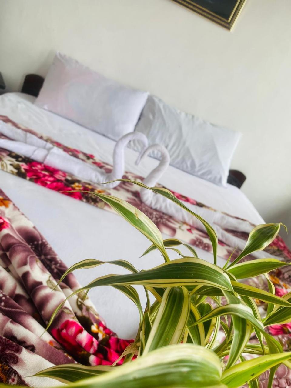 Farah Guest Inn Хапутале Екстериор снимка